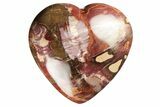 Polished Triassic Petrified Wood Heart - Madagascar #194881-1